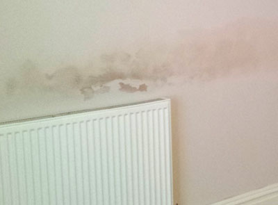 Floating salt band at the top of replastered wall.